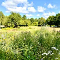 Vejlby kirke biodiversitet.jpeg