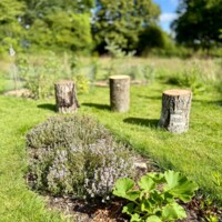 Vejlby kirke biodiversitet2.jpeg