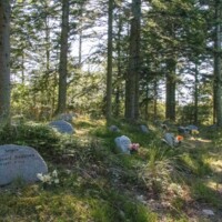Emmersbaek_skovkirkegaard.jpg