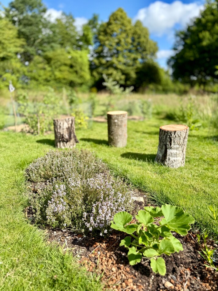 Vejlby kirke biodiversitet2.jpeg